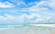 Panorama Of The Beautiful White Sand Beach Of The Florida Gulf Coast