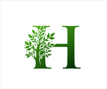 H Logo Letter Created From Tree Branches And Leaves. Tree Letter Design With Ecology Concept..