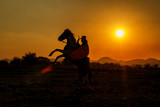 Fototapeta Konie - silhouette of a rider cowboy in cowboy style on horse during sunset