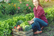 © Artem - Young happy woman farmer agronomist collects fresh vegetables in the garden. Organic raw products grown on a home farm