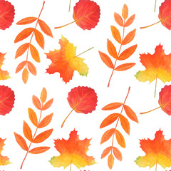 Wall Mural - Seamless pattern of bright red autumn leaves. Original foliage background. 