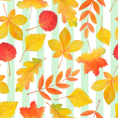 Wall Mural - Light seamless pattern of yellow and red autumn leaves.