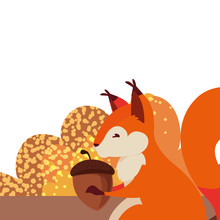 Squirrel Acorn Happy Autumn Season Flat Design