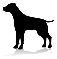 A detailed animal silhouette of a pet dog