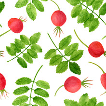Watercolor Red Rose Hips And Leaves Seamless Pattern. Hand Drawn Background With Green Plants And Brier Berries On White. Floral Template For Home Decor, Design, Textile, Cards, Decoration, Cosmetics.