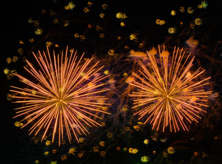 Colorful fireworks in night sky