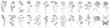 Leinwanddruck Bild - Collection of hand drawn flowers and herbs. Botanical plant illustration. Vintage medicinal herbs sketch set of ink hand drawn medical herbs and plants sketch