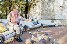 Pretty Woman Resting In Park And Feeding Pigeons