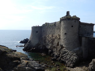 Poster - Vieux château, Ile d'Yeu, côte sauvage, Vendée, France