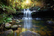 canvas print picture - Bushland waterfall and oasis