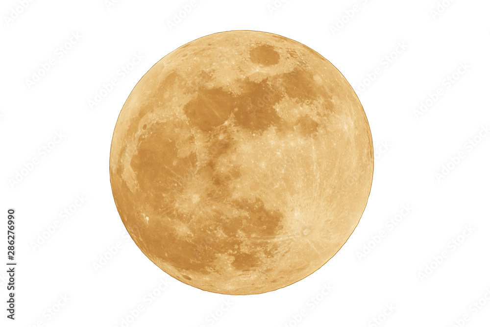 Full moon isolated on white background. Stock Photo | Adobe Stock