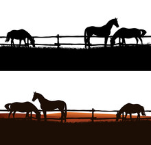 Herd Of Domestic Horses Grazing In The Field Behind Wooden Fence - Animal Farm Vector Silhouette Outdoors Scene