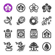 Orchid Flower Icon Set,vector And Illustration
