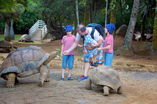 Happy Family, Children And Parents, Feeding Giant Tortoises In A Exotic Park On Mauritius Island