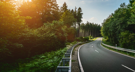 Long Curvy Forest Road In Alpine Mountains