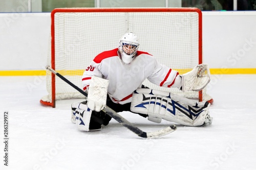 Fotografía Hockey Goalie During a Game