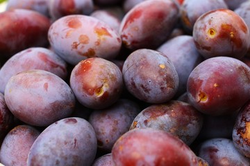 Poster - Plums in bucket on grass closeup