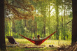 Man resting at hammock in the middle of the pine forest.