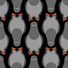 Dove Grey Pattern Seamless. Pigeon Background. City Bird Vector Texture