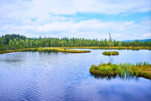 Chalupska Moor Represents A Transitional Type Of Moor Between The Valley Upland Moors Developed Along  Vltava River And Mountain Raised Bogs Of Sumava Plateau. National Park Sumava (Bohemian Forest)