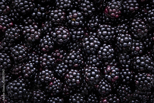 Fotomural Close up of shiny, freshly picked blackberries