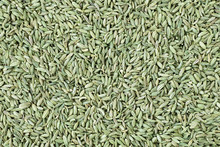 Fennel Seed Texture
