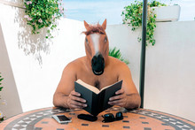 Horse Man Sitting Outdoors Reading A Book. Fantasy And Fiction Literature Concepts