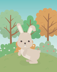 Sticker - cute rabbit animal farm character