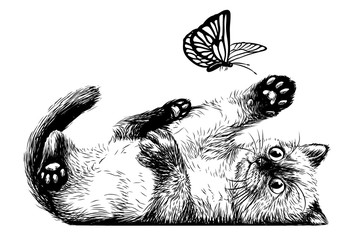 Wall Mural - a kitten is playing with a butterfly. wall sticker with the image of a kitten.