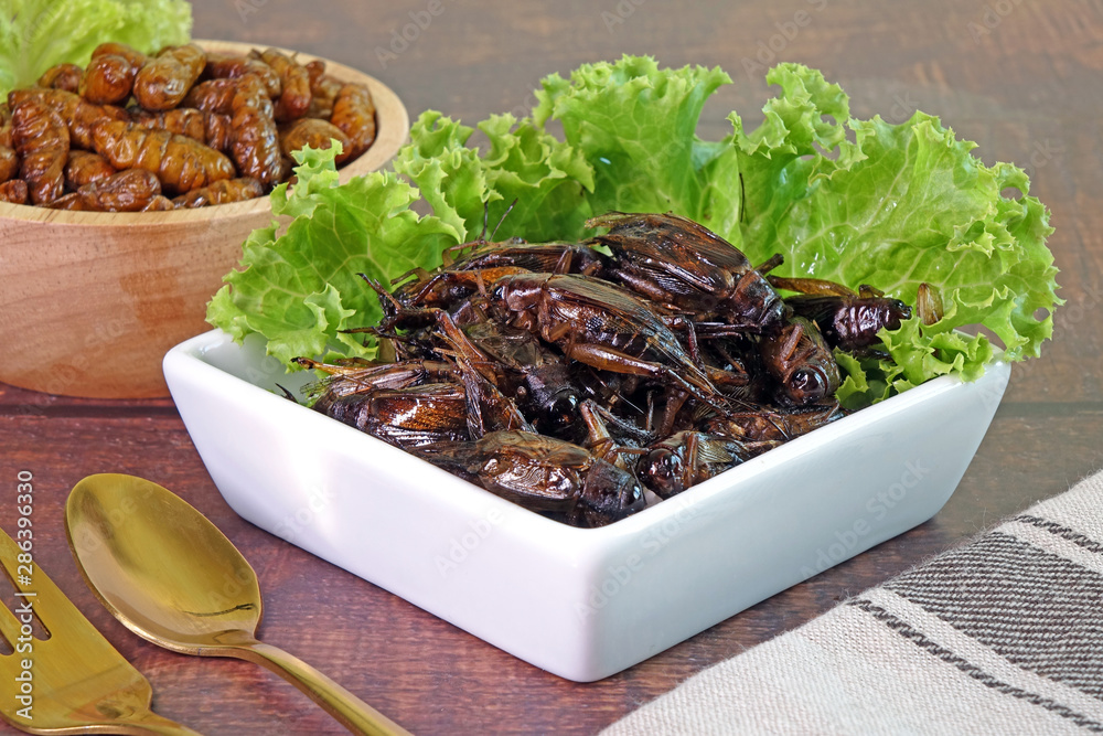 Foto Edible insects : Deep fried crispy salted Silkworm pupae and ...