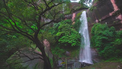 Canvas Print - Beautiful waterfall in rain forest