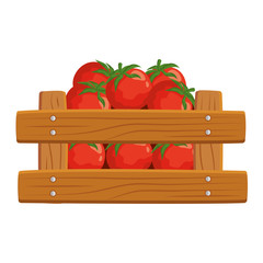 Canvas Print - fresh tomatoes vegetable in wooden box