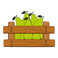 Poster - fresh pears fruits in wooden box