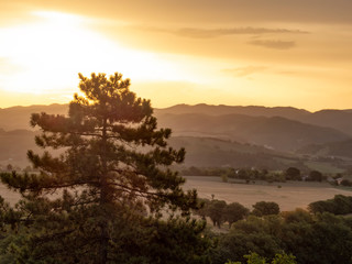 Sticker - Golden sunset and hills of Umbria, Italy.