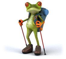 Fun Backpacker Frog - 3D Illustration
