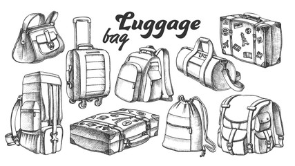 Wall Mural - collection of different luggage ink set vector. assortment of luggage bag for business trip, extreme