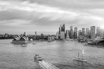 Wall Mural - Downtown Sydney skyline in Australia