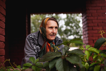 Wall Mural -   old grandmother in   handkerchief