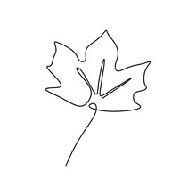 Single One Line Drawing Of Maple Leaves One Hand Drawn Lineart Design Isolated On White Background