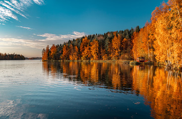 autumn lake view