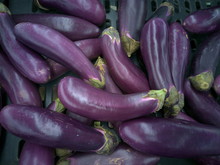 Eggplant, Aubergine, Or Brinjal Is A Plant Species In The Nightshade Family Solanaceae  Harvest In Food Industry