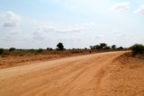 Fototapeta  - Desert landscape of the Kenyan Savannah