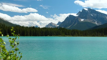 Beautiful vibrant postcard view of a crisp turquoise lake with trees and mountains against a blue cloud sky in Alberta, Canada.