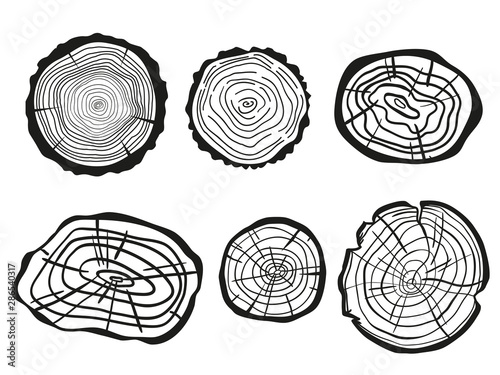 Tree Rings On White Wood Cross Section Black And White