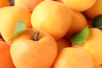 Delicious ripe sweet apricots with leaves as background, closeup view