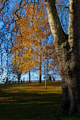 Canvas Print - London