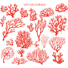 Set of underwater coral reef elements