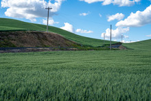 Powerlines Along A Barely Visible Road In The Palouse Region Of Washington State