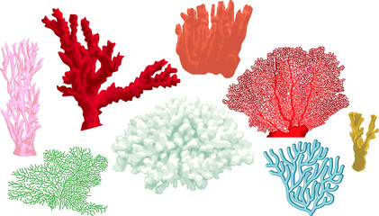 vector set of colorful corals