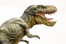 Tyrannosaurus Rex Dinosaur Isolated Model On White Background